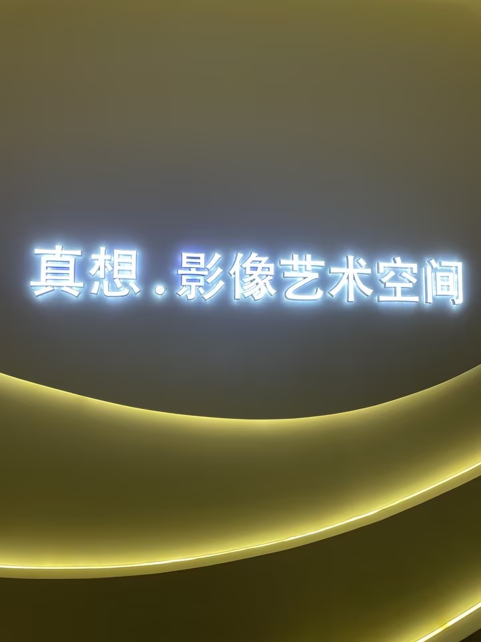 真想摄影