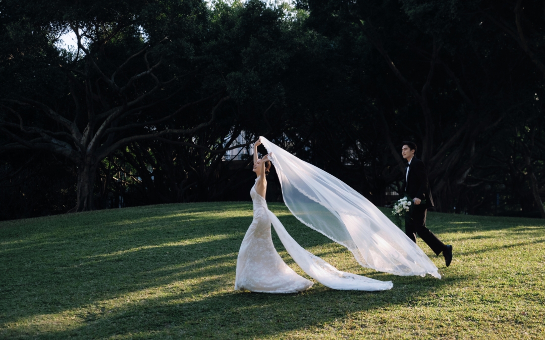 草坪活力感婚纱照