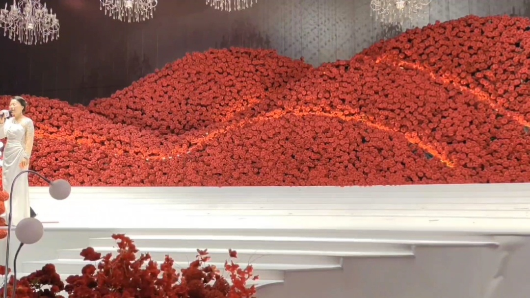 奔赴热爱 不负期待