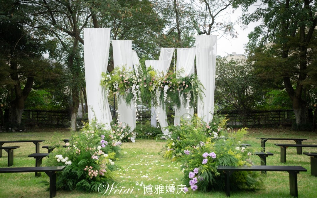 隨風(fēng)舞動(dòng)