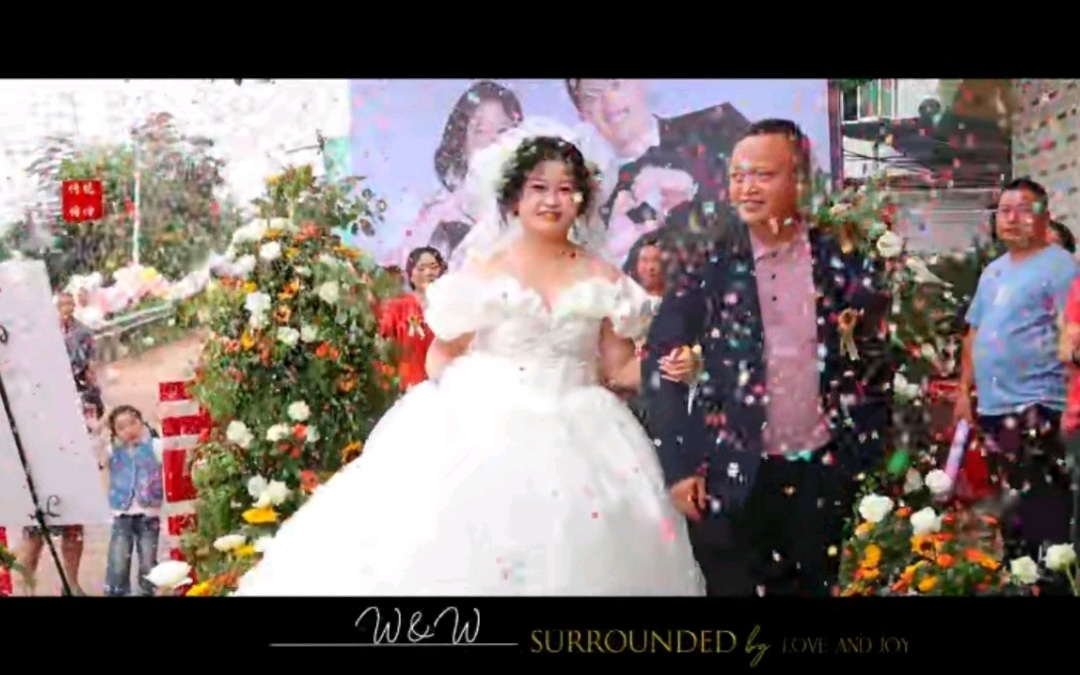 以阳光为誓，每一朵向日葵皆为证——自此