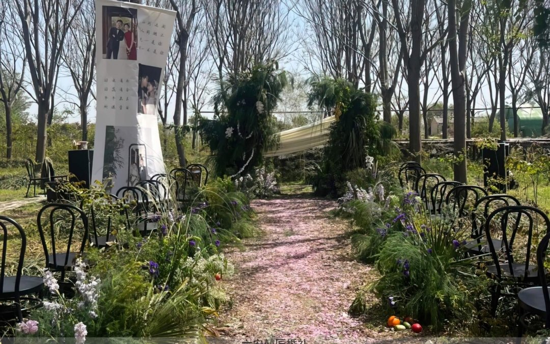 新款白绿色野生感风格婚礼