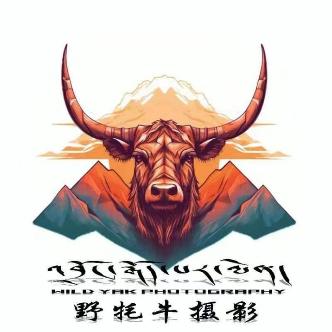 康定市牦牛攝影工作室