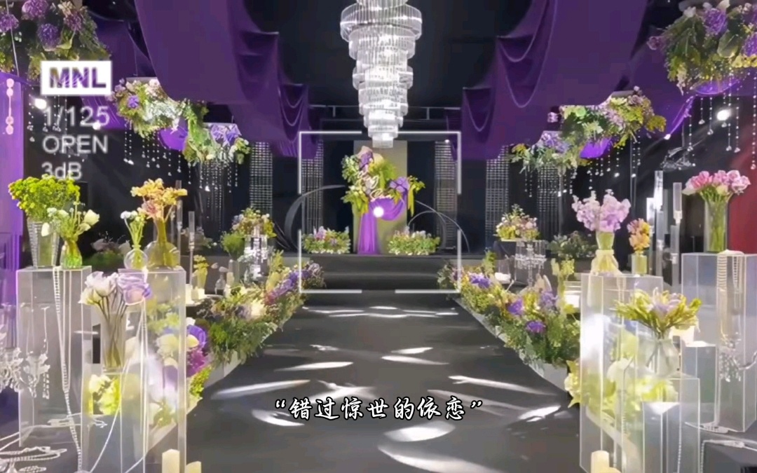 紫色秘境主题婚礼