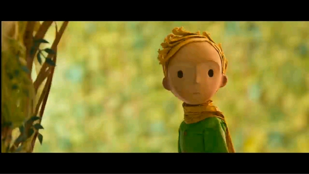 小王子和玫瑰的故事