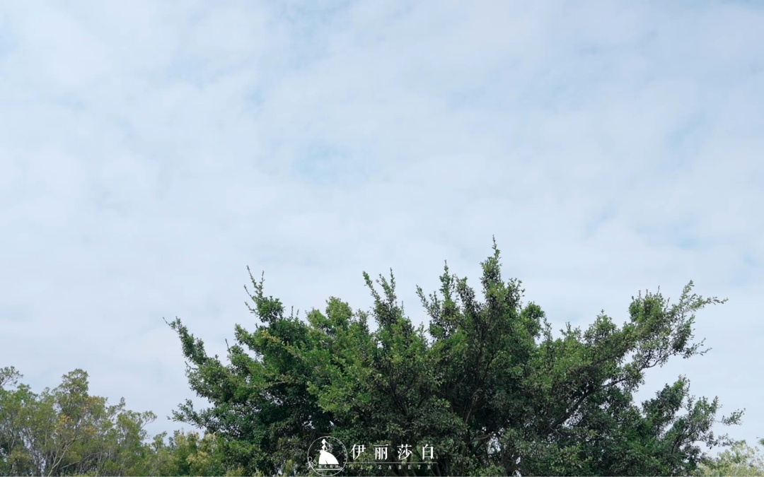 绿意环绕间见证幸福时刻