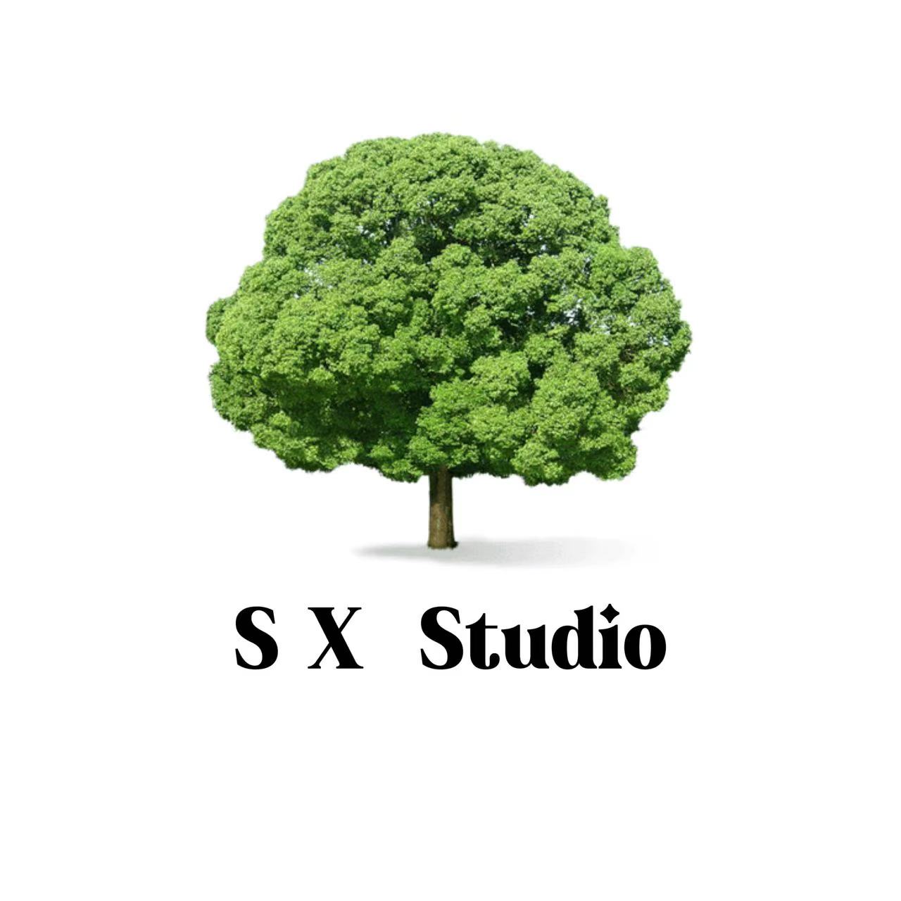 樹(shù)下工作室