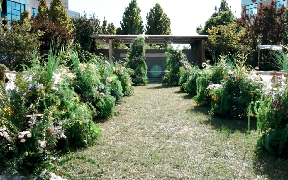 草坪婚禮，自然生長(zhǎng)