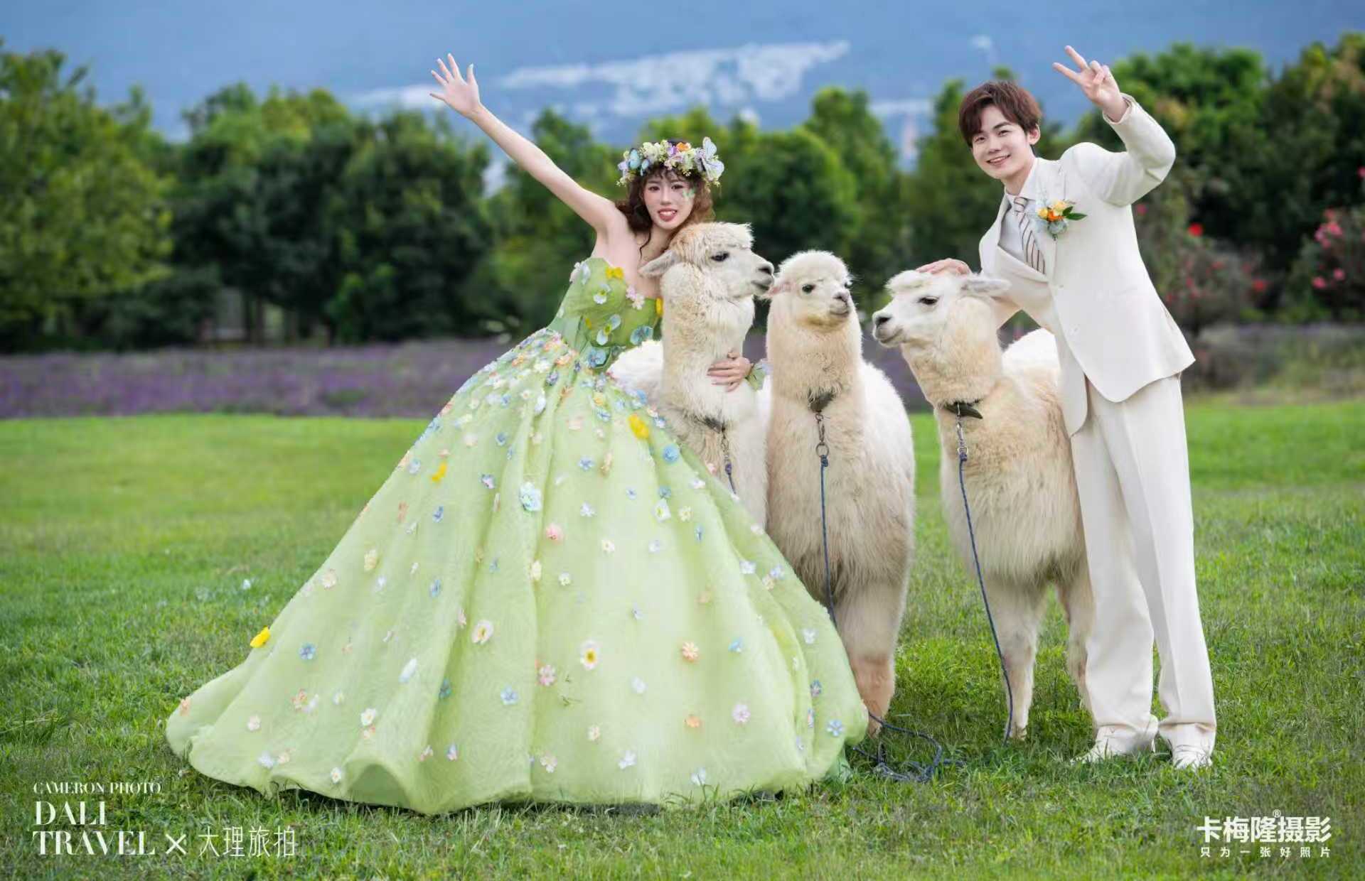 鮮花錦蔟美出新高度