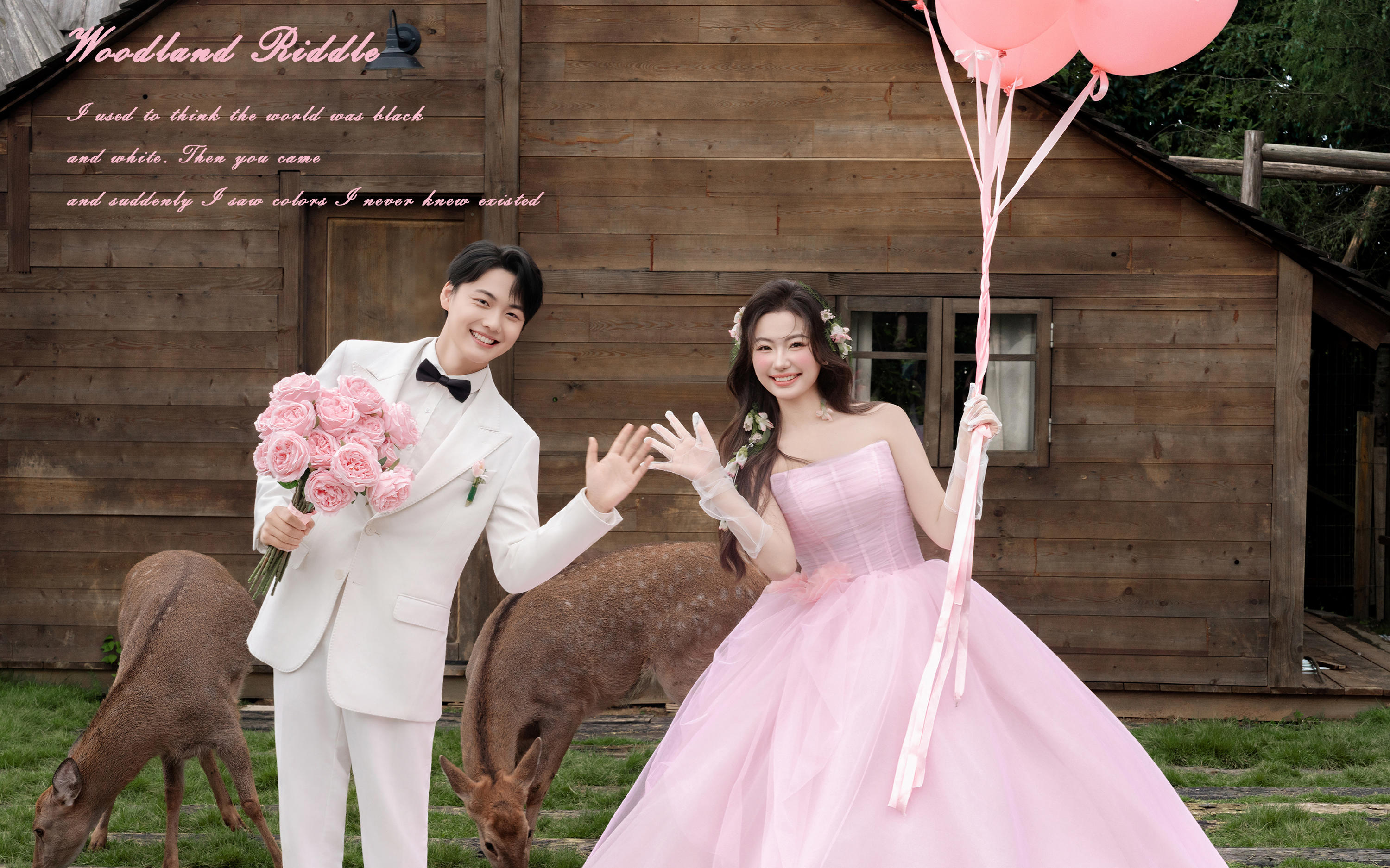 【米蘭婚紗】被梅花鹿治愈的浪漫婚紗照