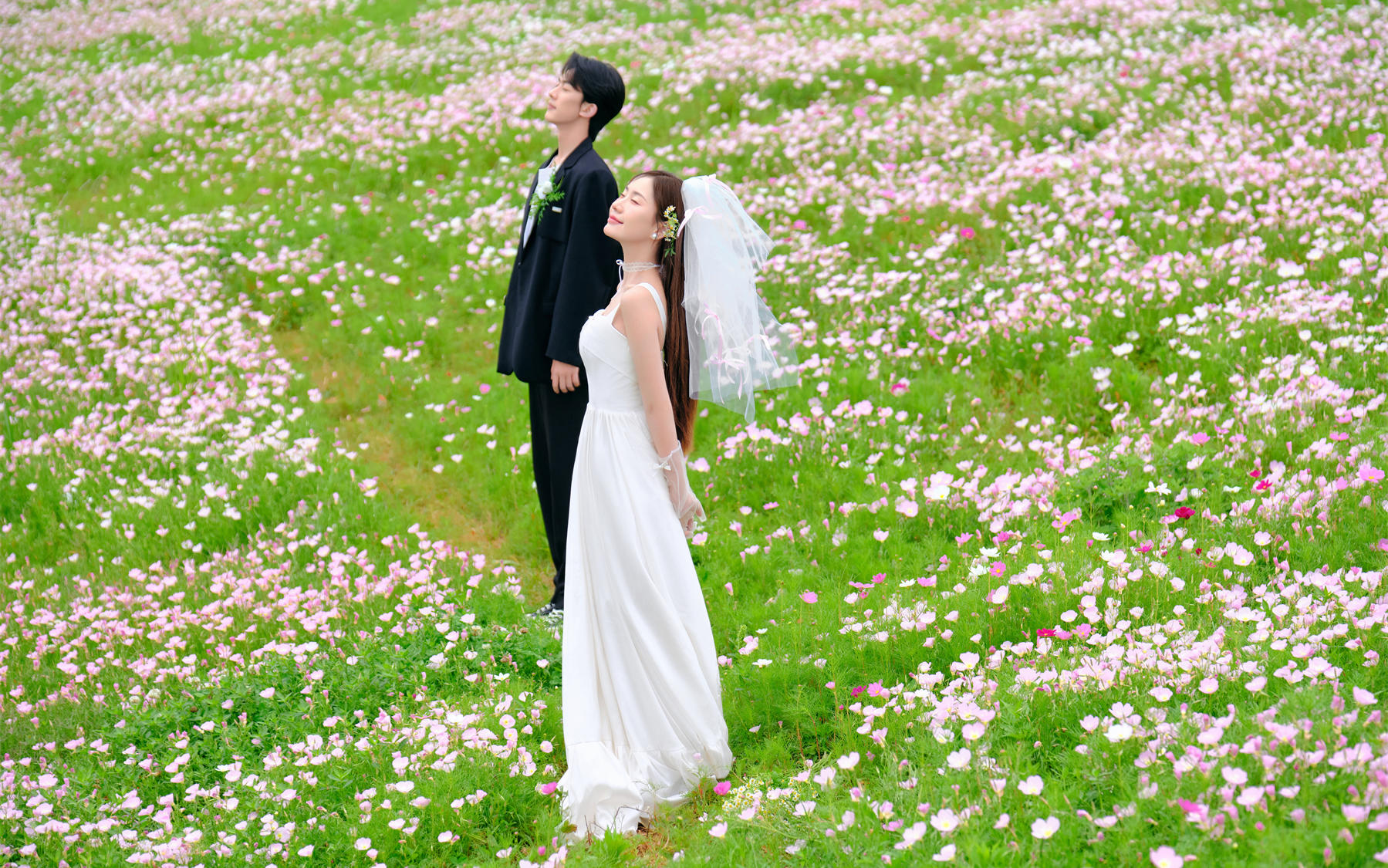 【D视觉摄影】氧气感婚照在花海里打夏春日的调色盘