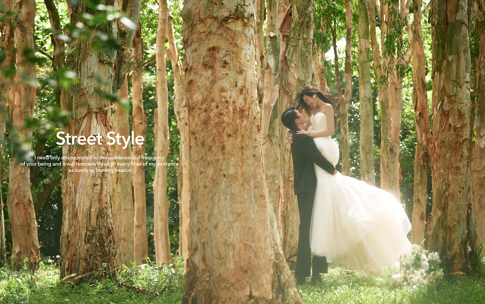 【真实客片】森系婚纱照丨林伟洁&龚子珊