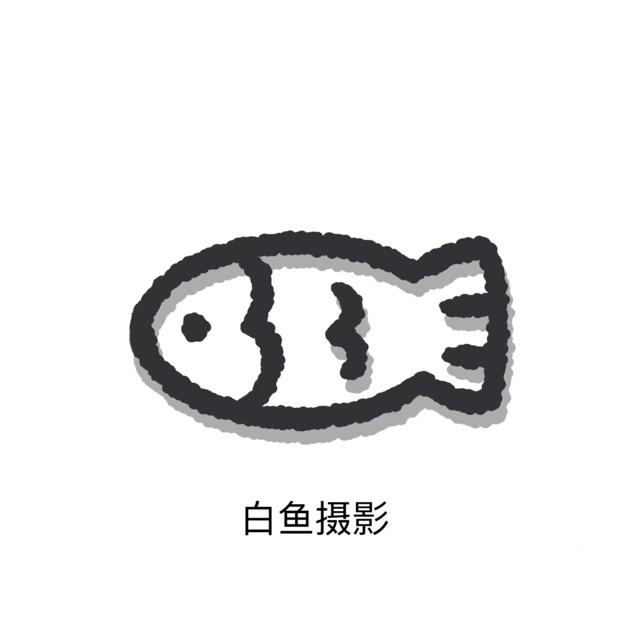 白魚攝影