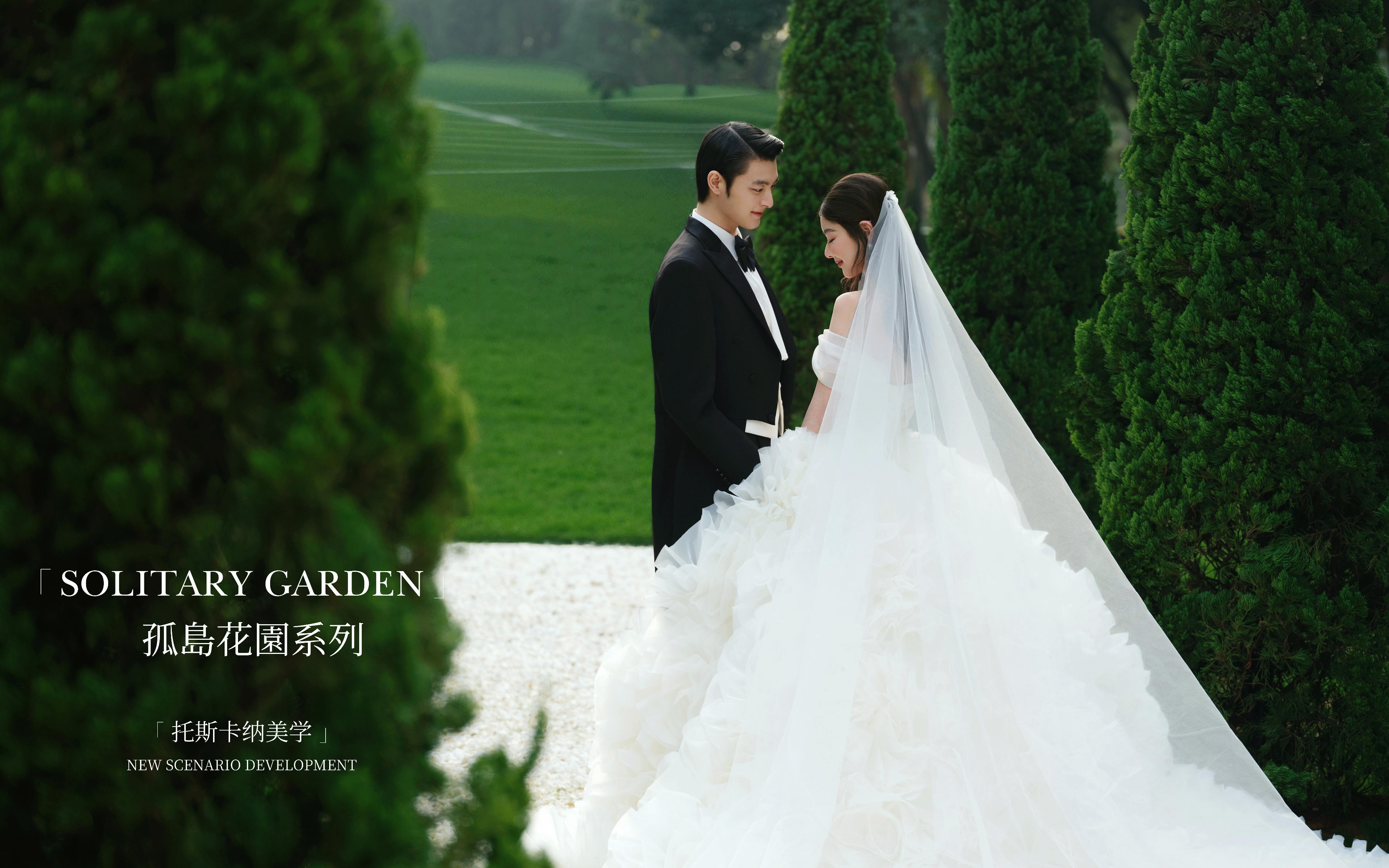 <孤岛花园系列>松影圣歌