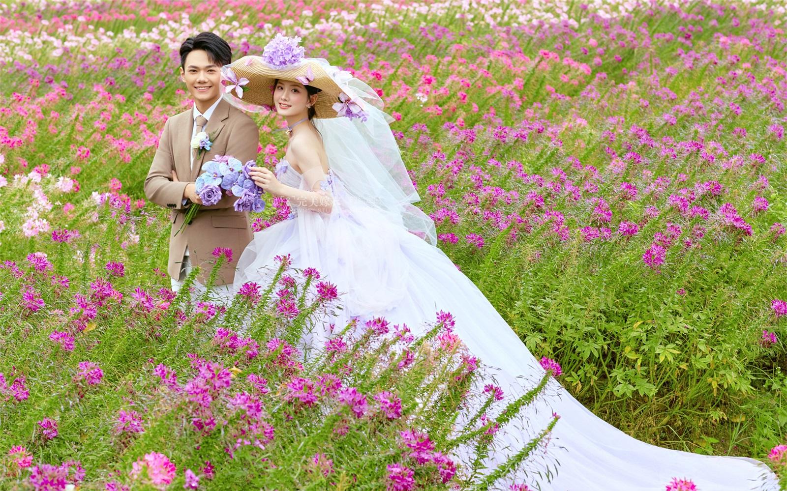 【南法深情紫梦】闯进了爱丽丝梦游仙境🌸太梦幻了