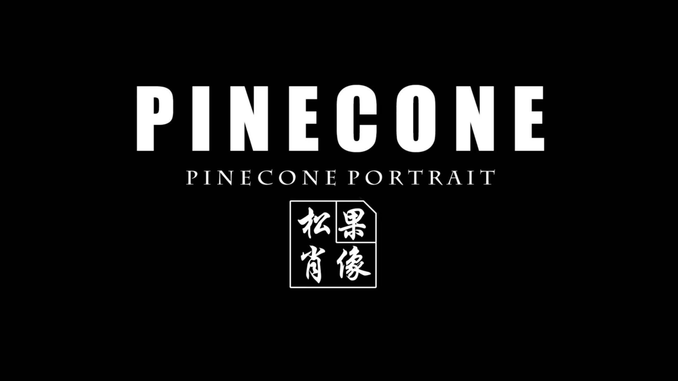 天山區(qū)解放北路松果攝影工作室