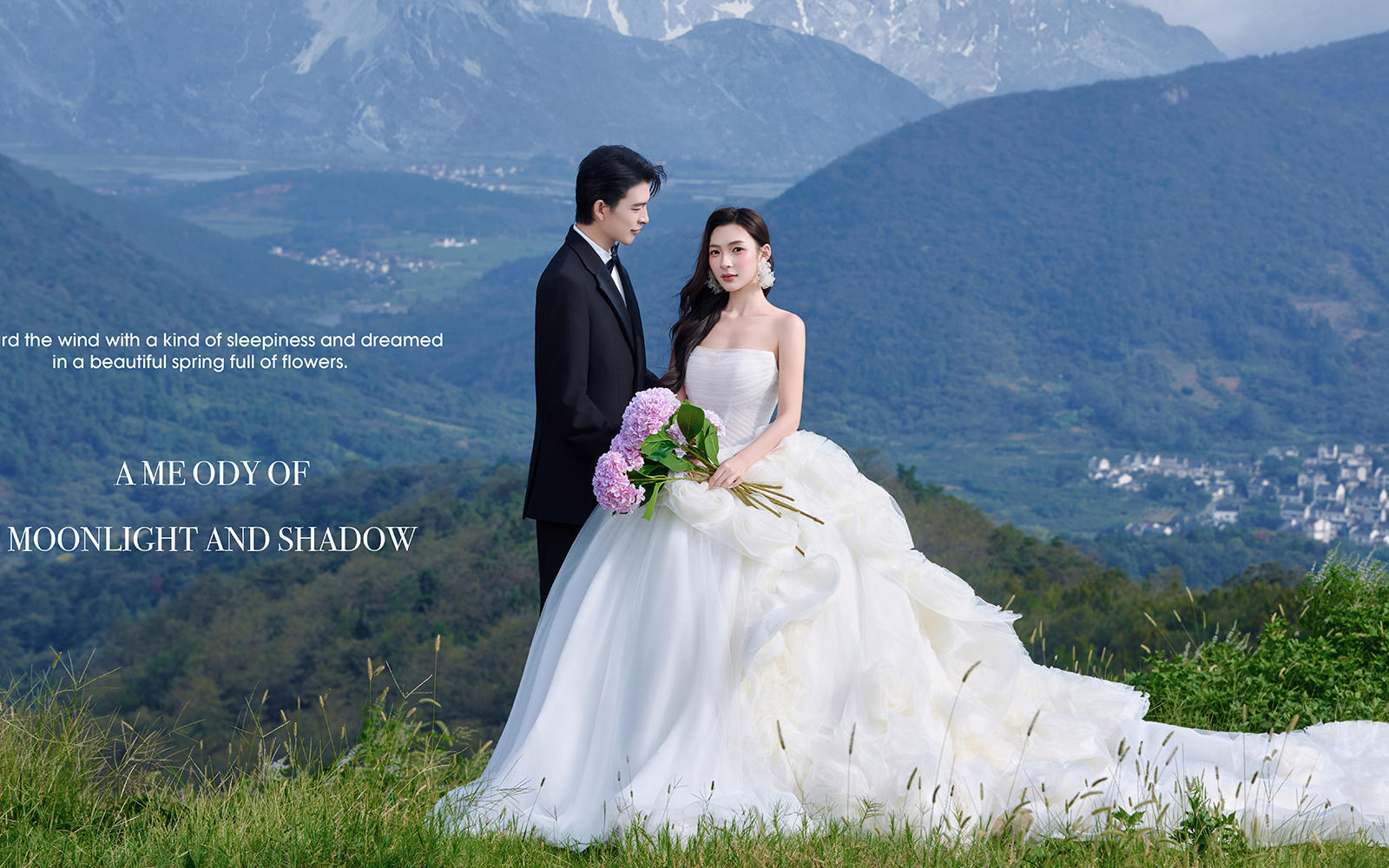 山茶—【云之巔】系列