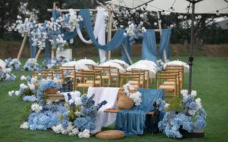 蓝色草坪布幔婚礼