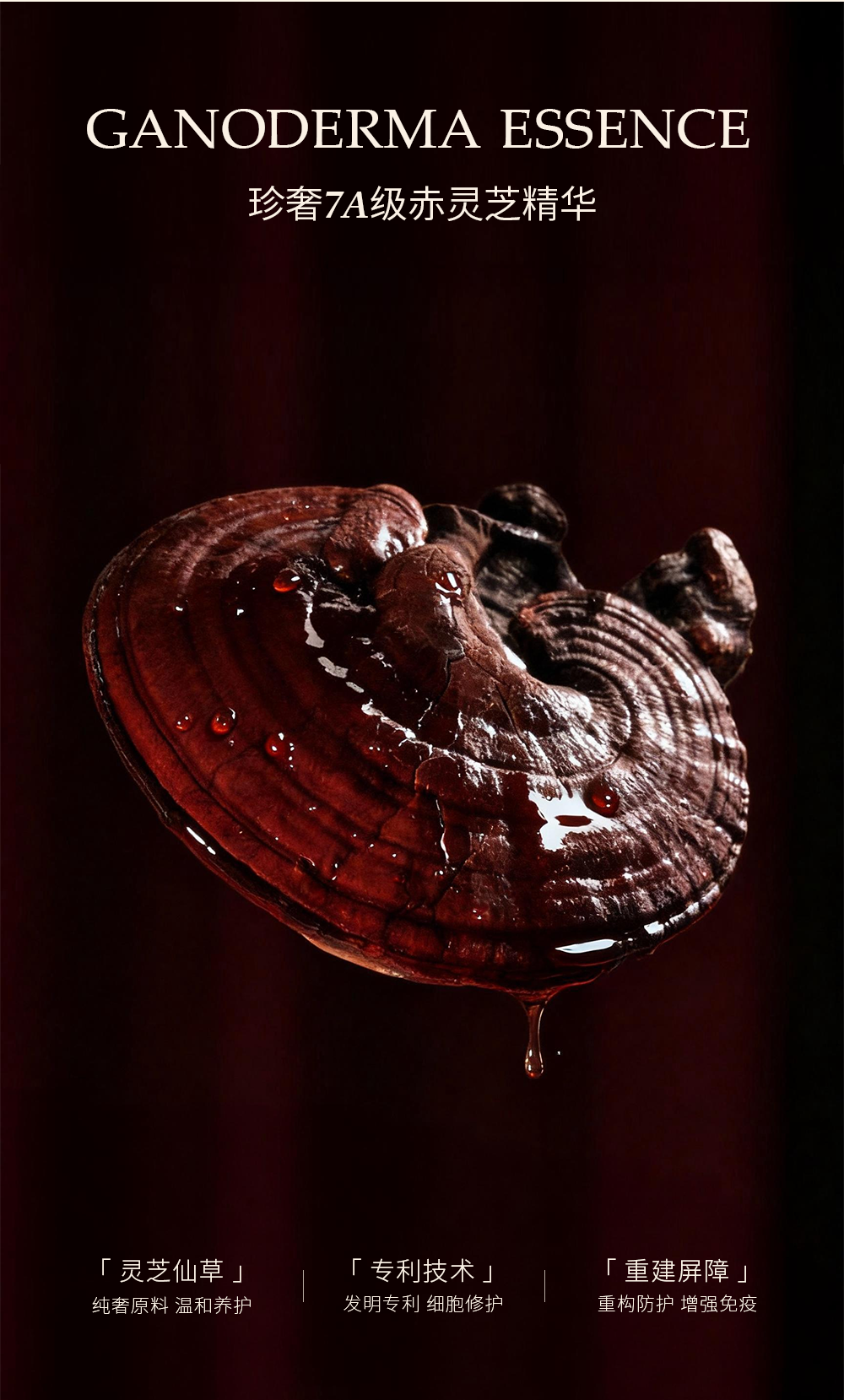 维笑灵芝护龈纯净牙膏（日日微笑）