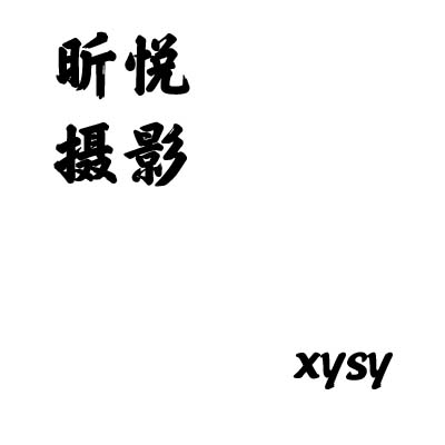 昕悦摄影