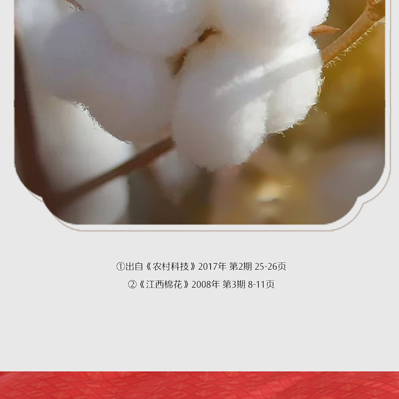 水星家紡  60支長(zhǎng)絨棉四件套  喜柿連連AY5DGQ04