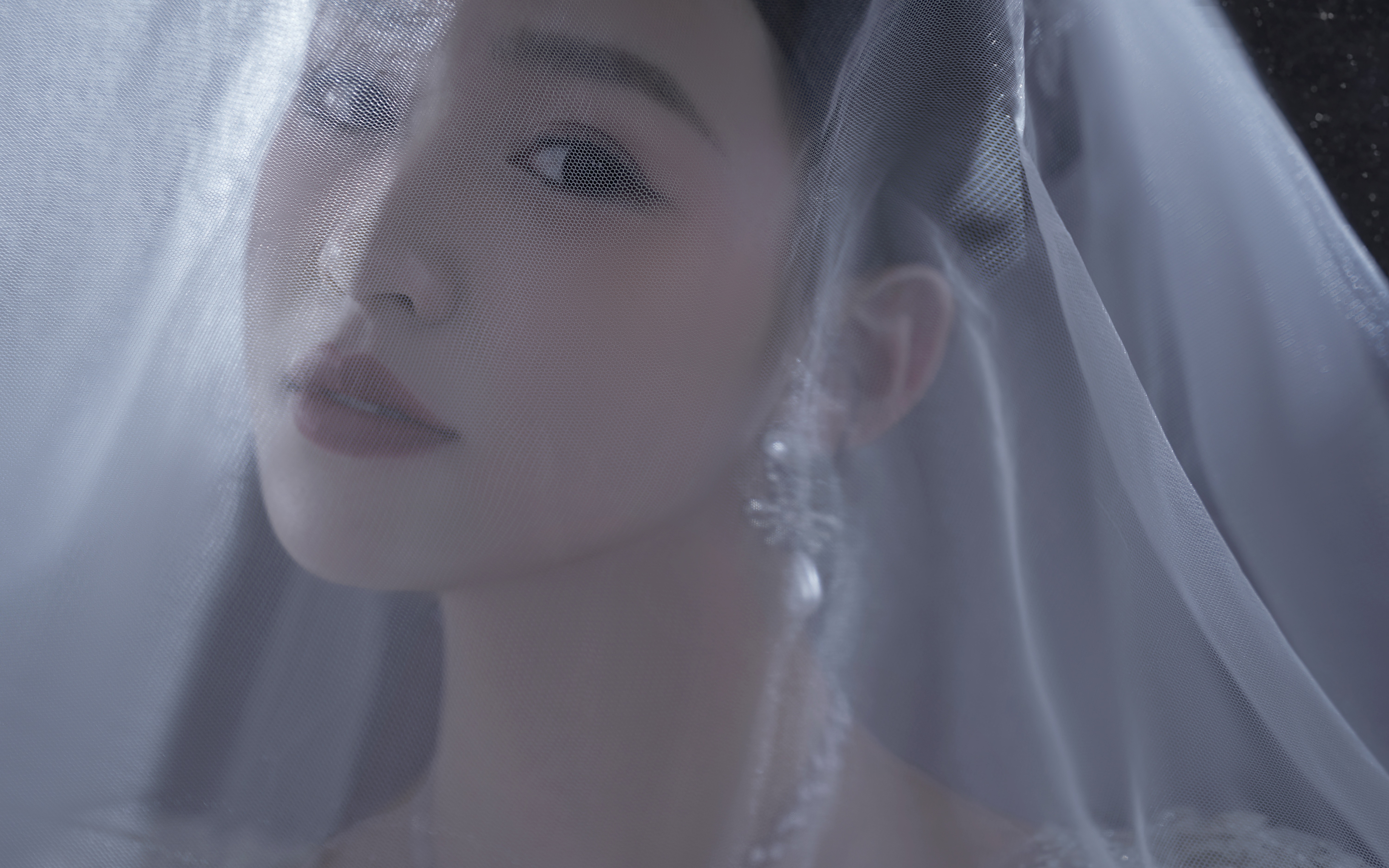 在星光璀璨的夜里，我们鼻尖轻碰，许下一生的约定