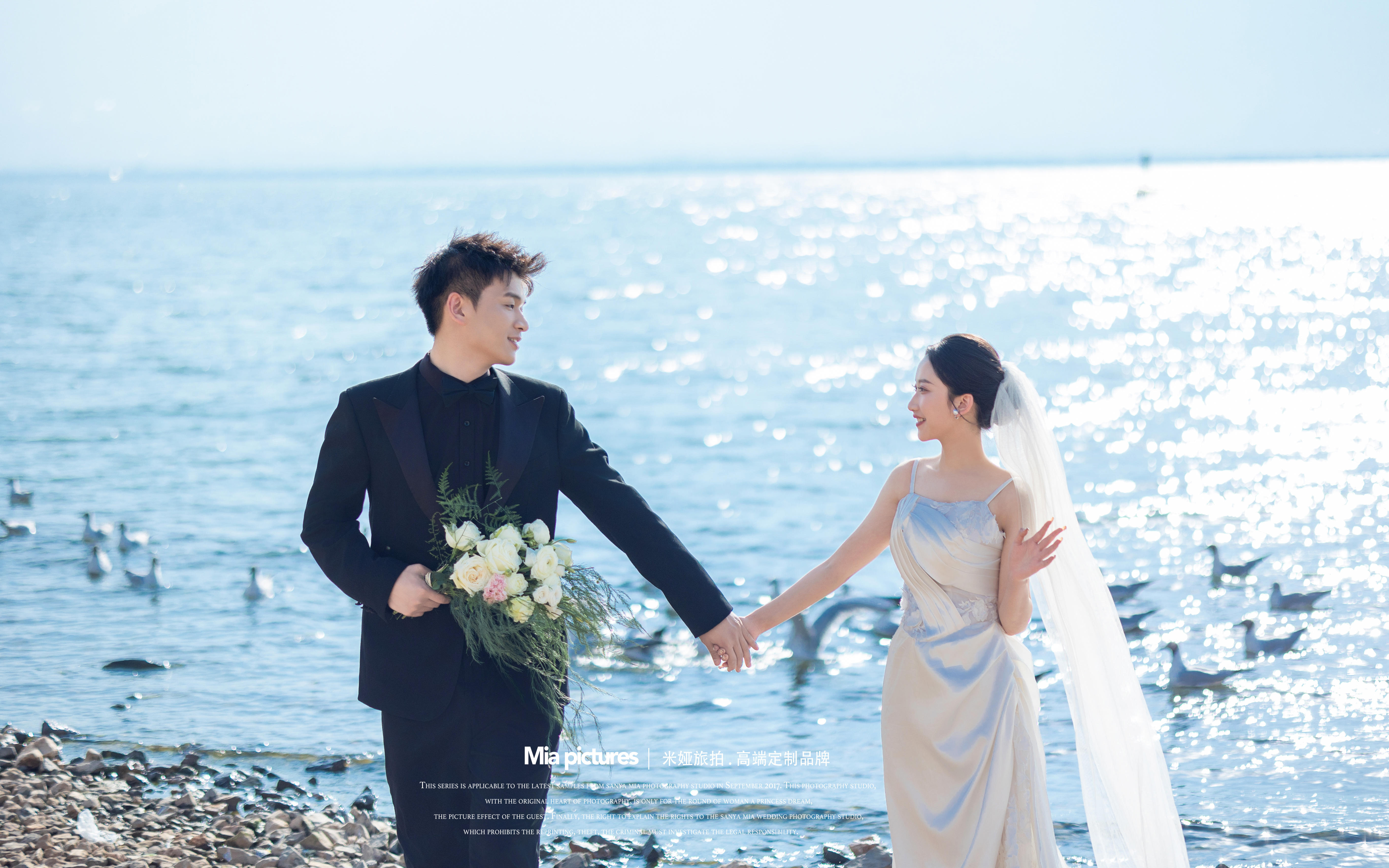 波光与海鸥是浪漫的具象化✨