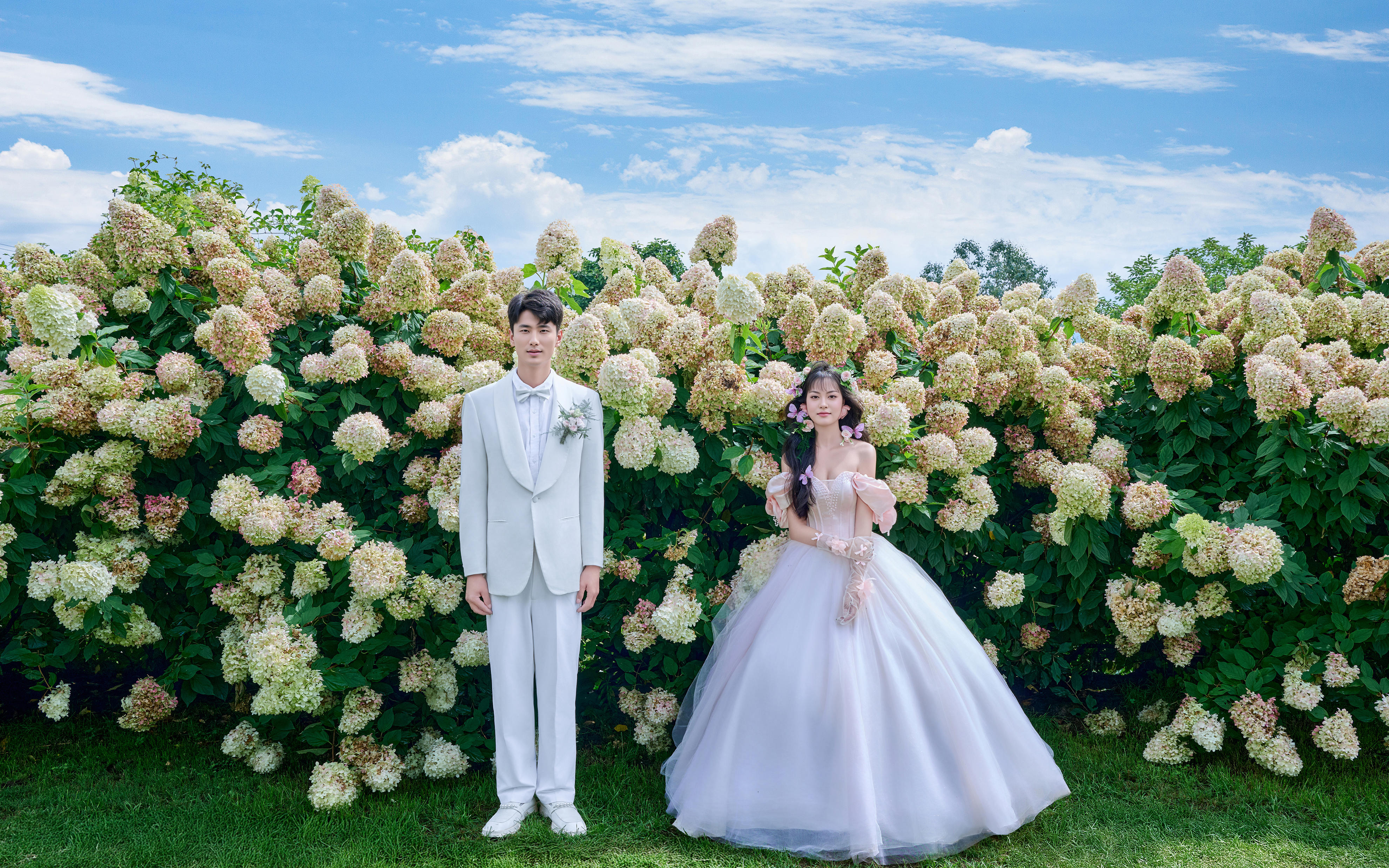  喵主司仪宣布：人类可以结婚啦