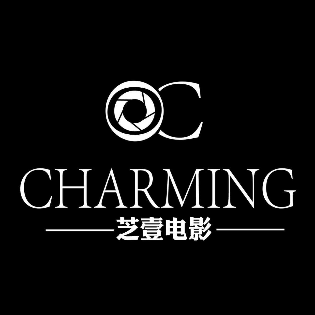 南境芝壹电影