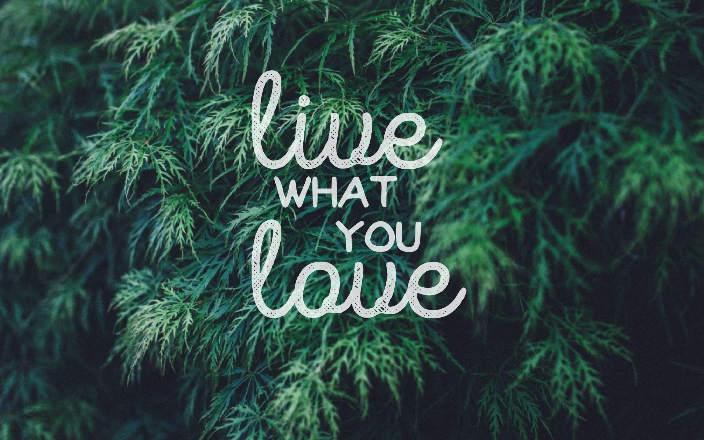 50-80人小型婚礼之选 静谧蓝婚礼送首席四大