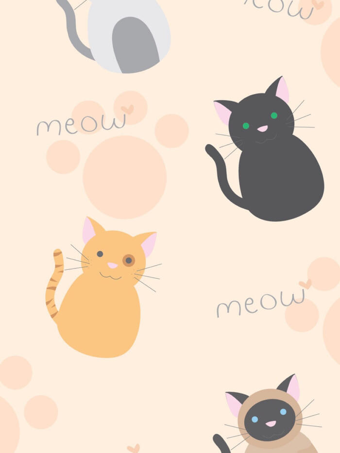 测试摄影师啊232323