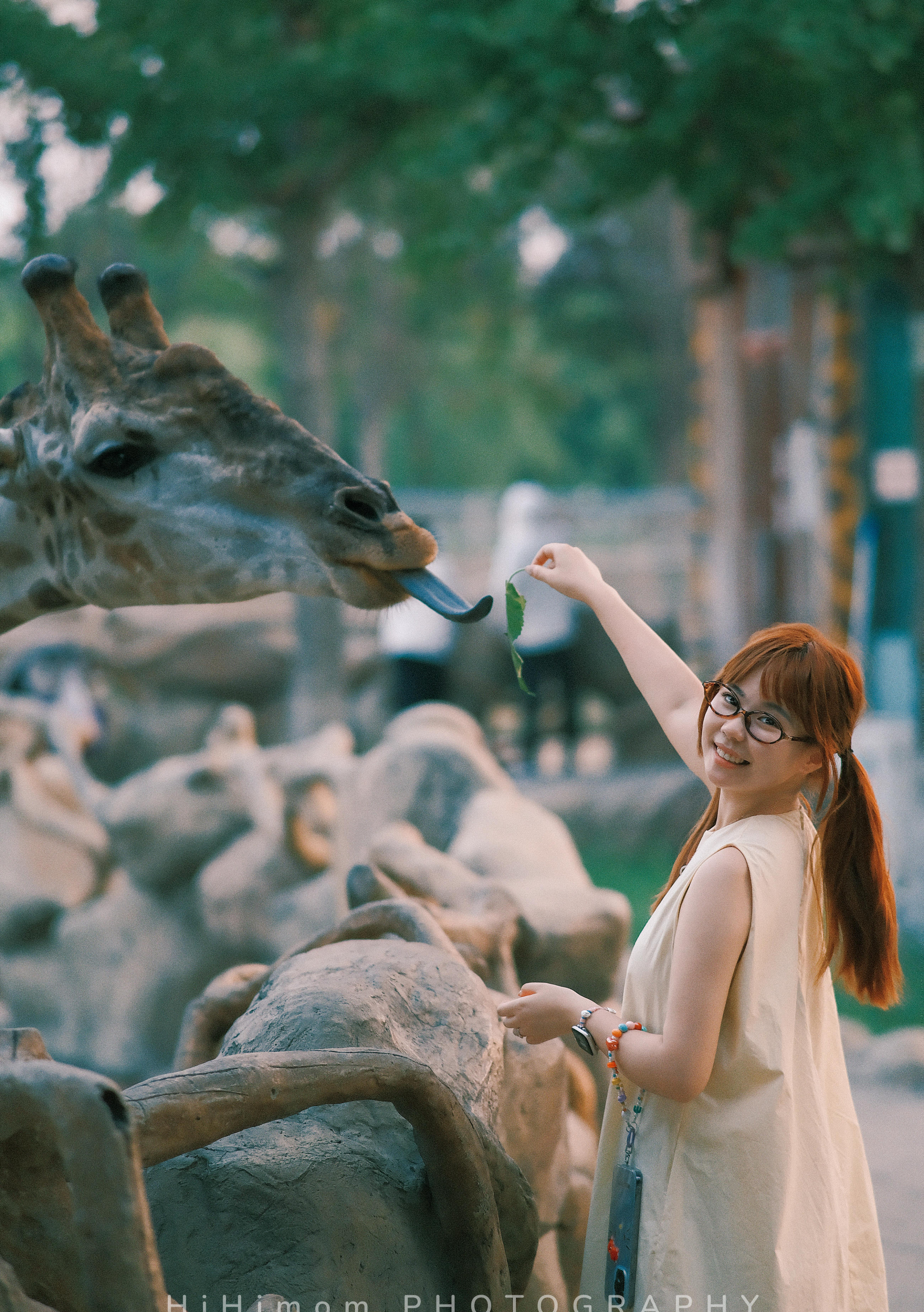 動物園跟拍