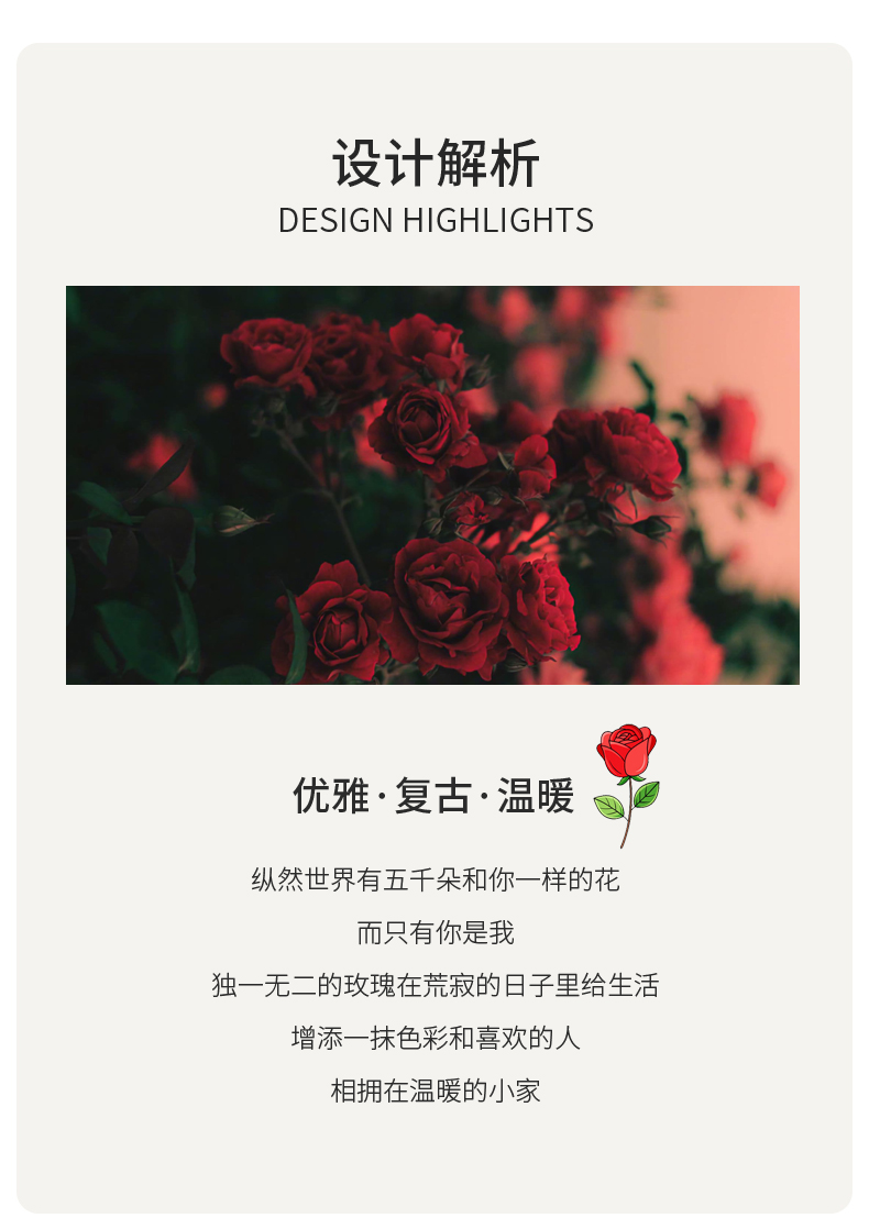 2025新款网红爆款 玫瑰花束毛毯 多功能盖毯