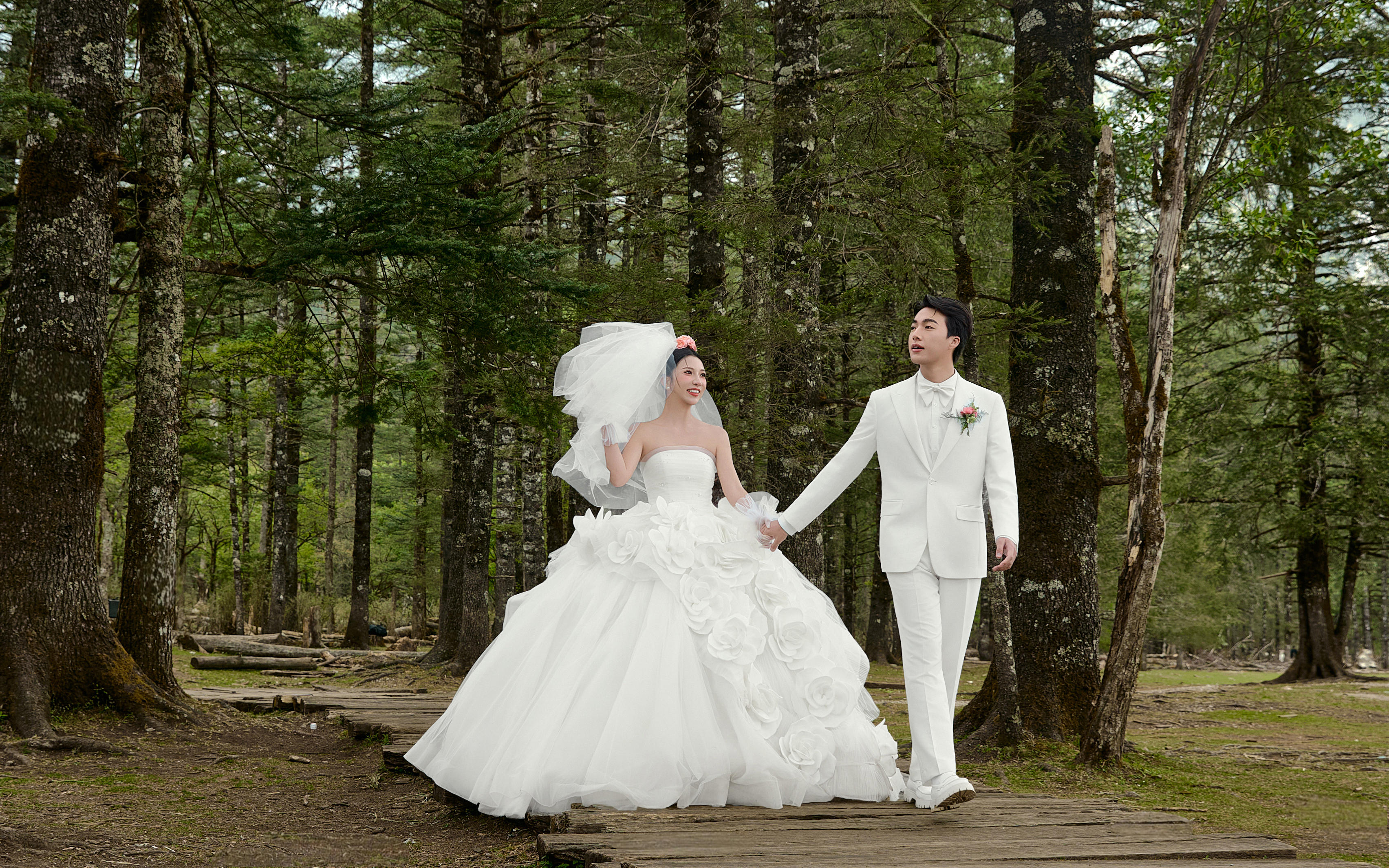 【麗江旅拍】云杉坪原始森林