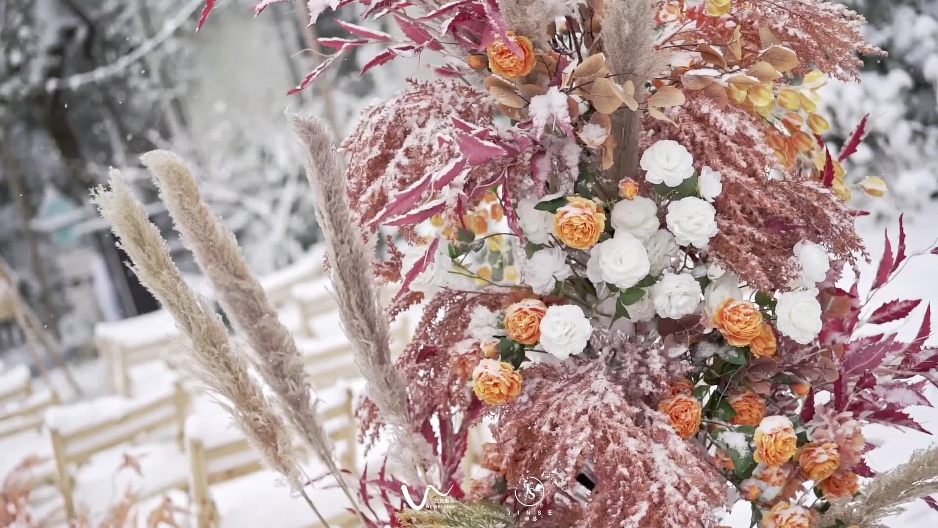 它朝若是共沐雪，此生也算共白頭