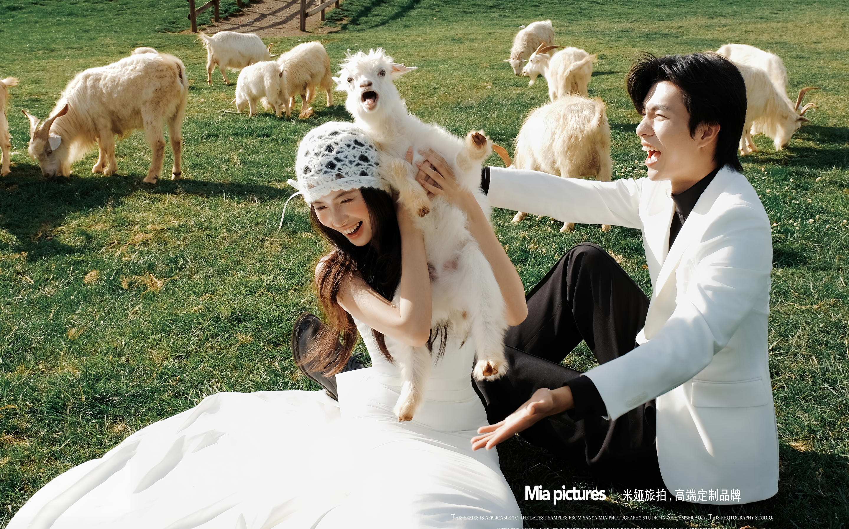 當草坪婚紗照遇上羊群??只是億點點甜??