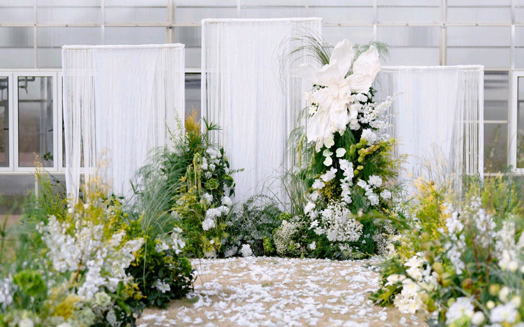 自帶松弛感白綠色草坪婚禮