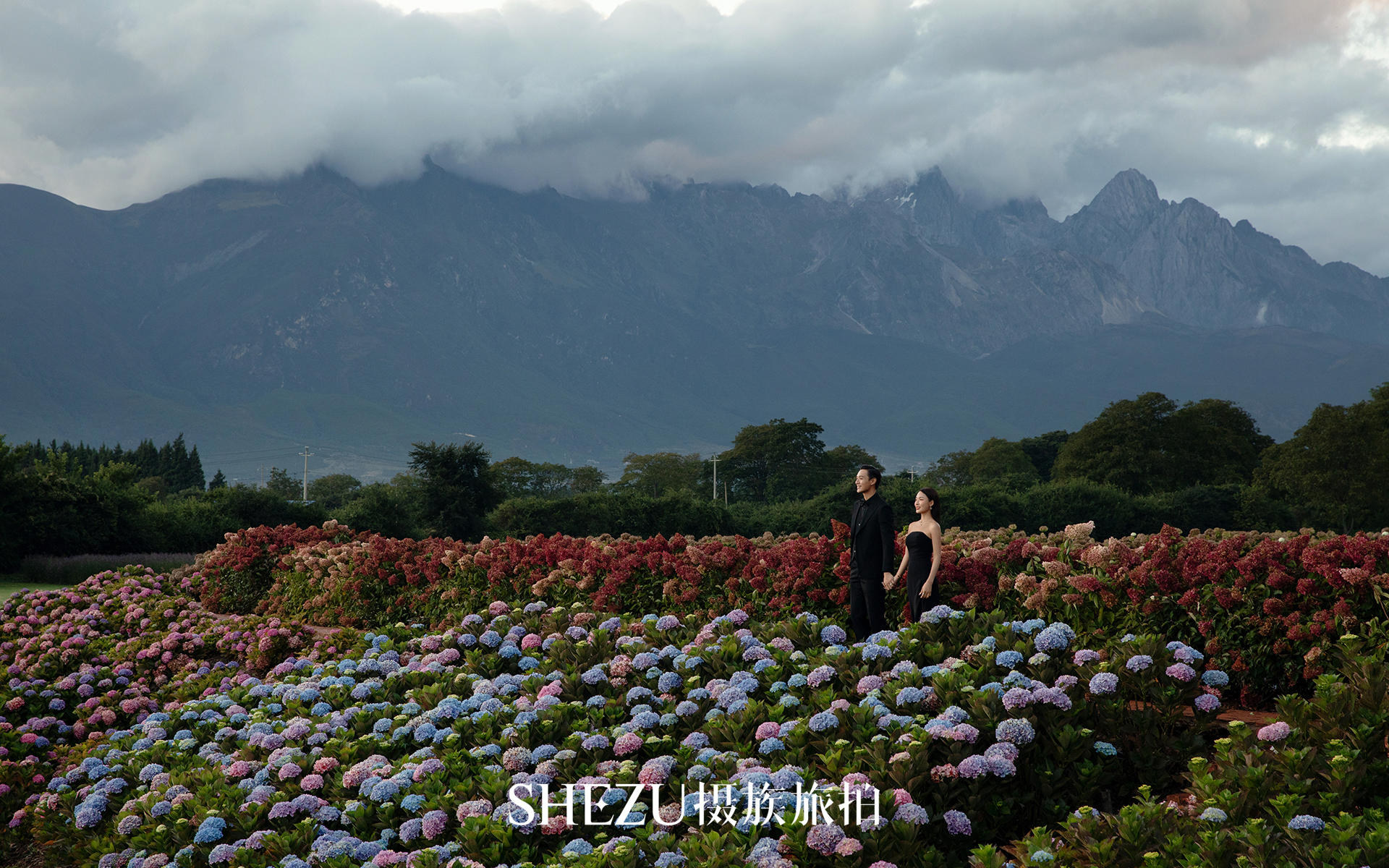 攝族旅拍|電影質(zhì)感|誤入花海