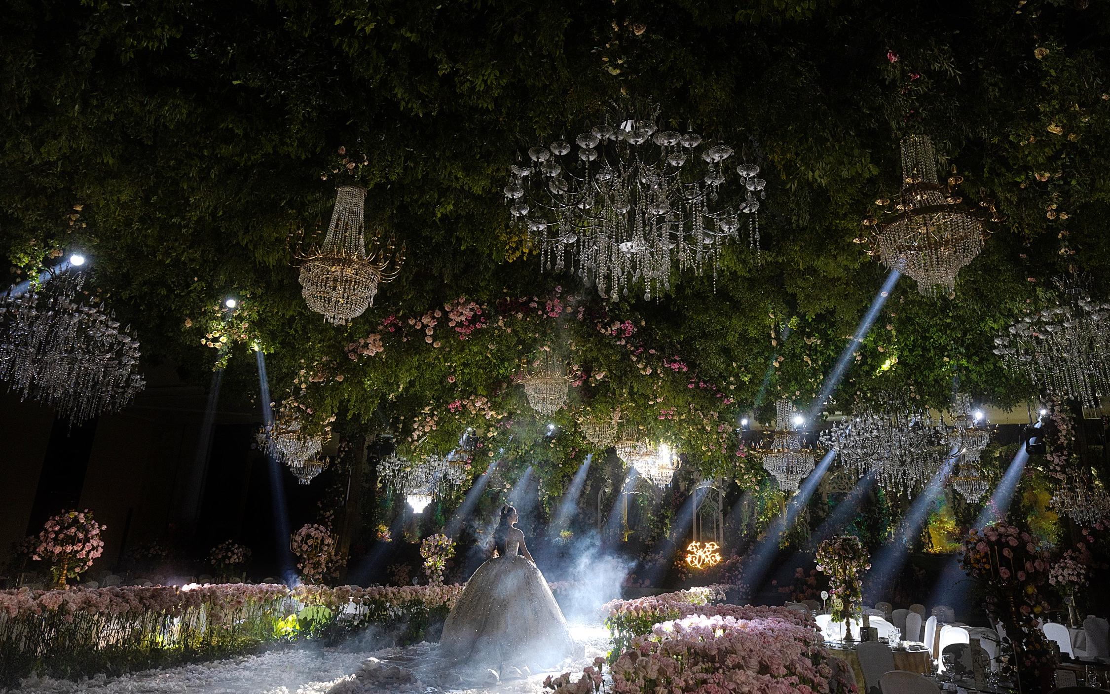 千百合 | 奥兹国奇遇