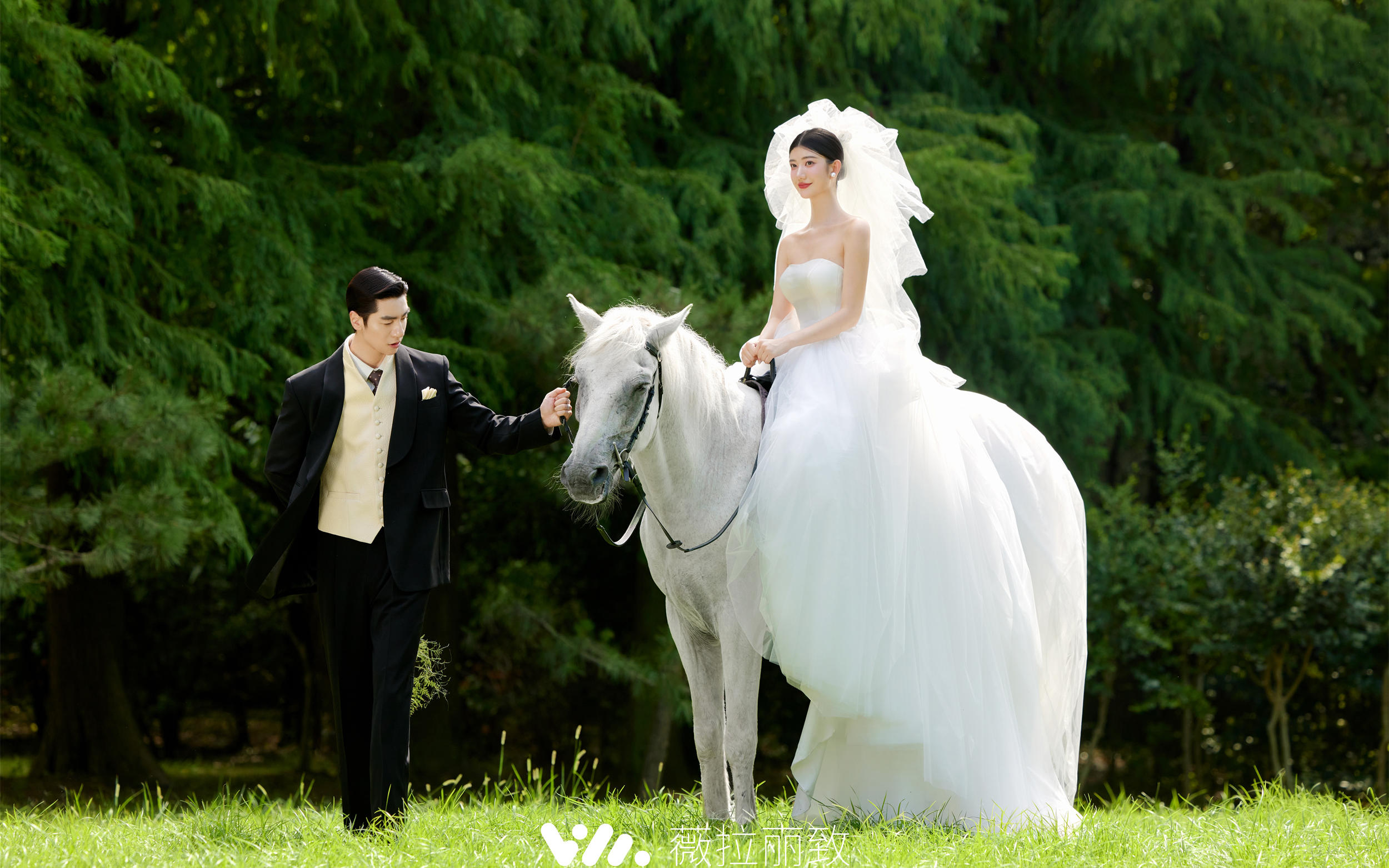 童话公主突然出现！圆梦了白马婚纱照