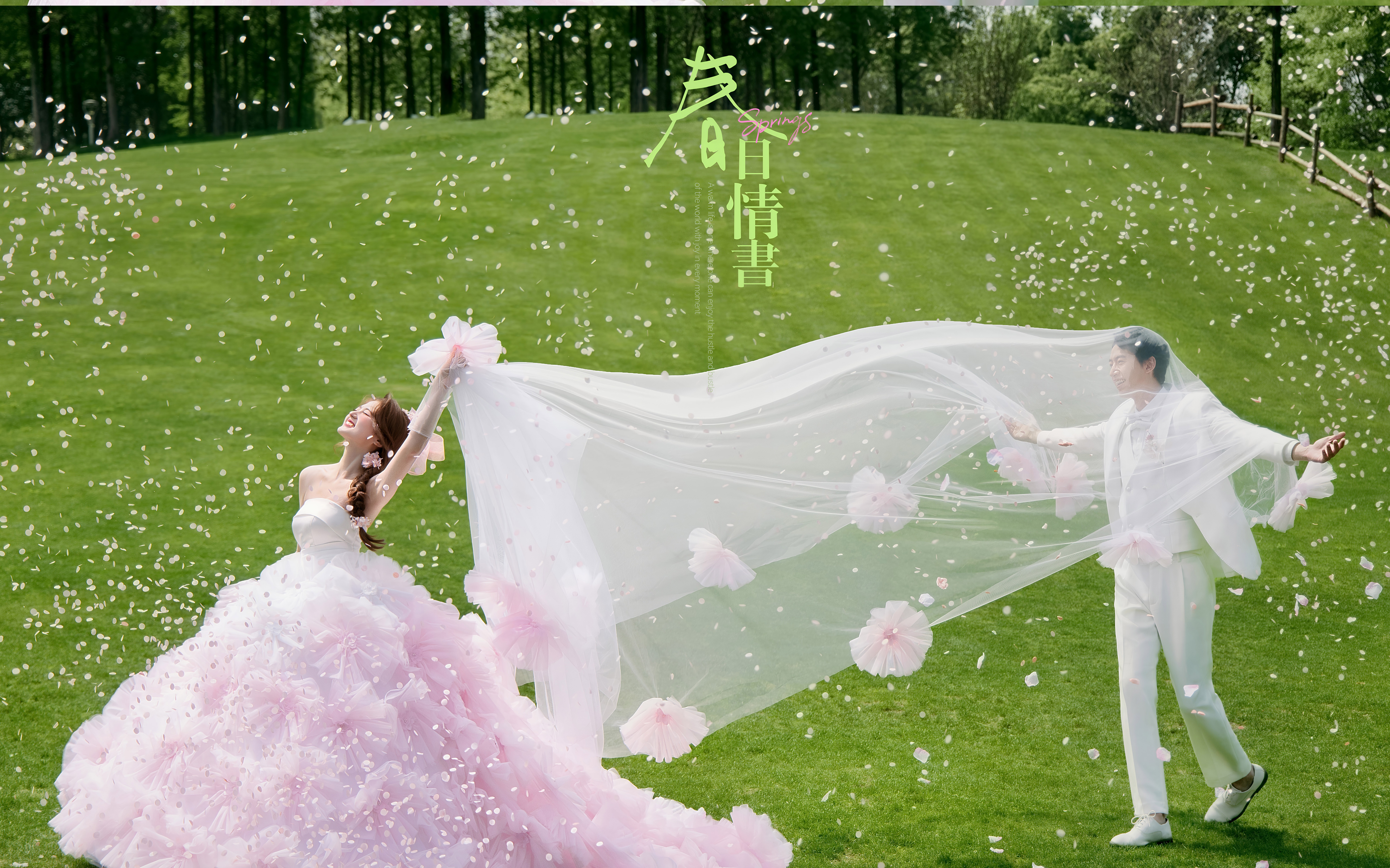 慕汐摄影|粉色彩纱