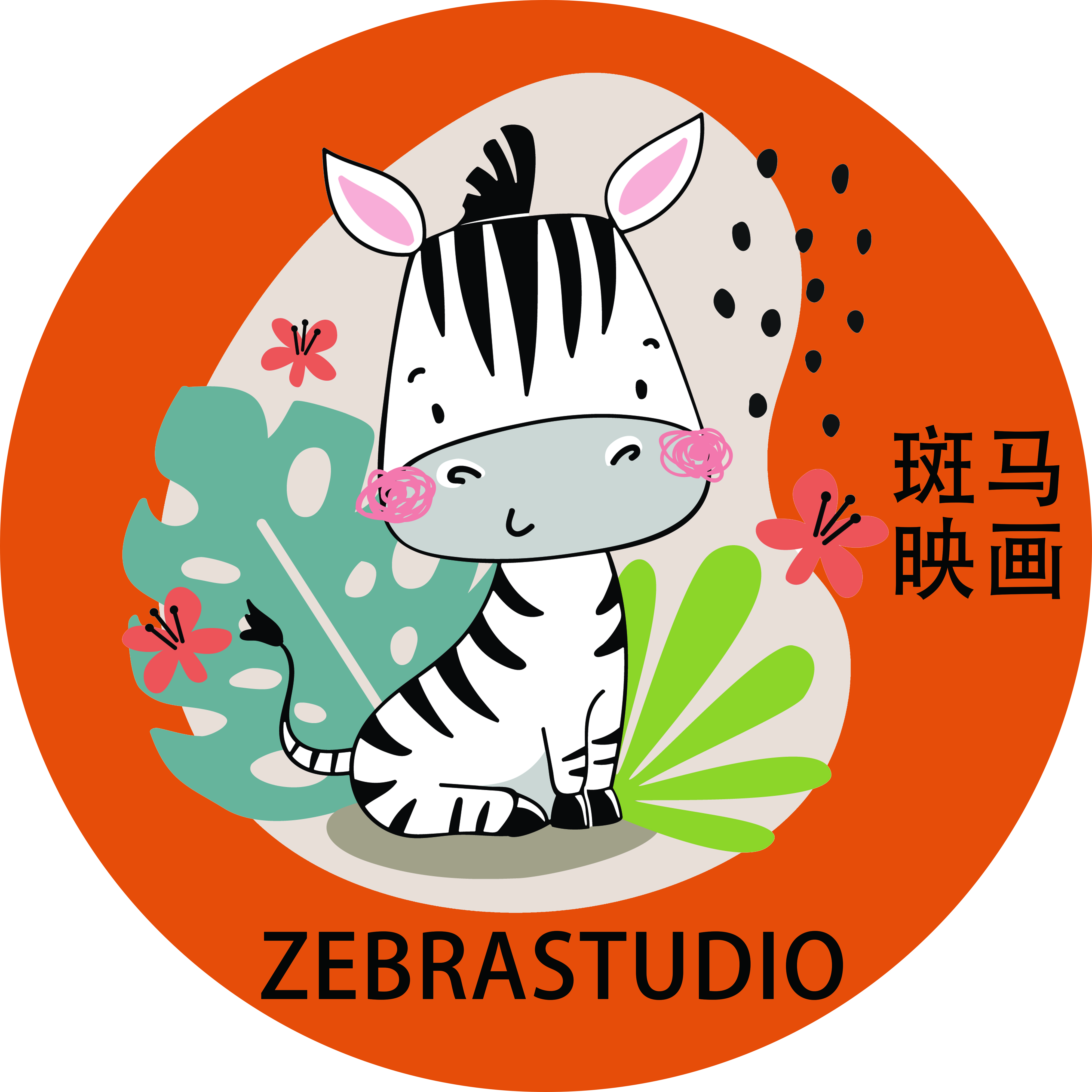 斑马映画摄影STUDIO(保利广场店)