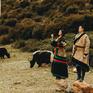 西藏婚纱照-迷恋的藏北草原+天路