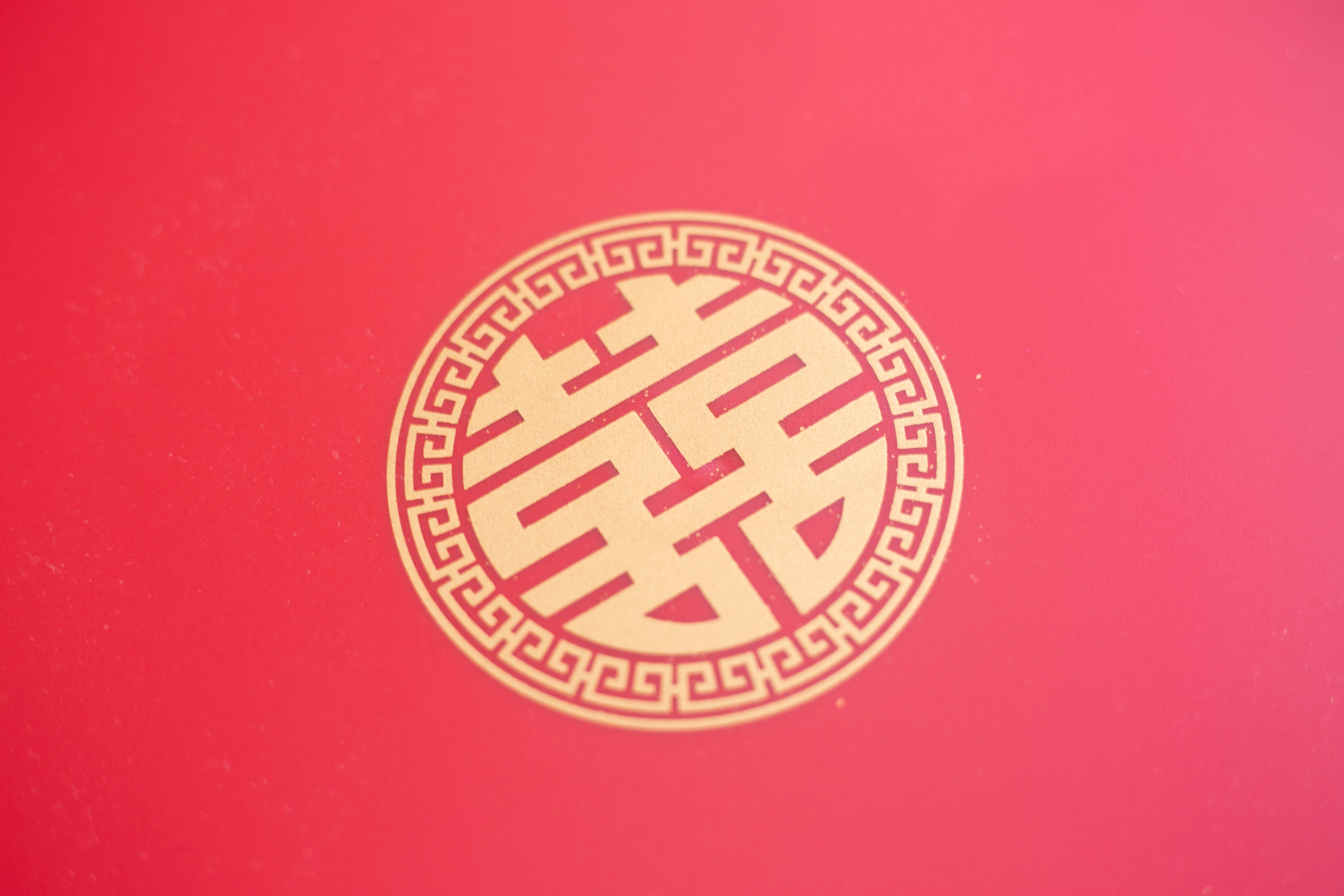河源本地婚礼跟拍+半录像拍摄（女方）