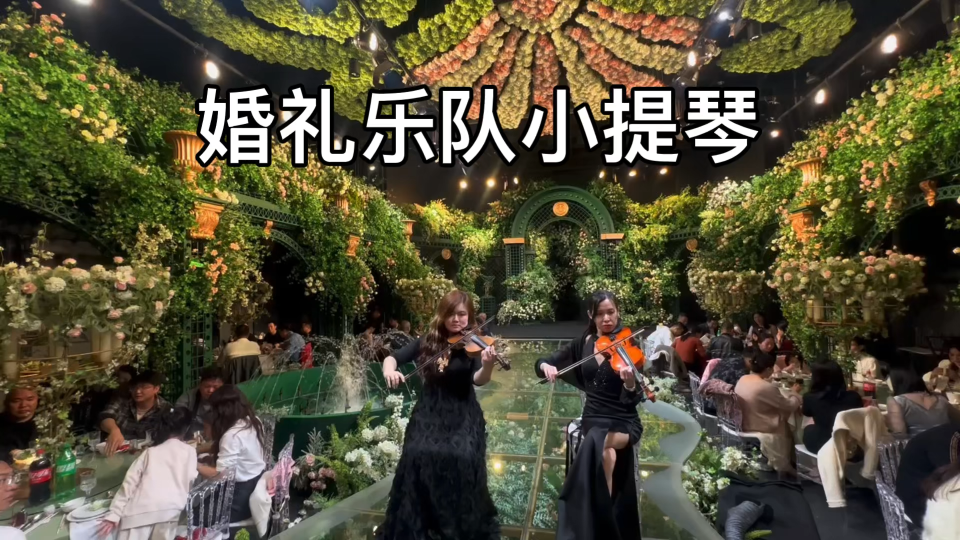 婚礼 乐队 小提琴