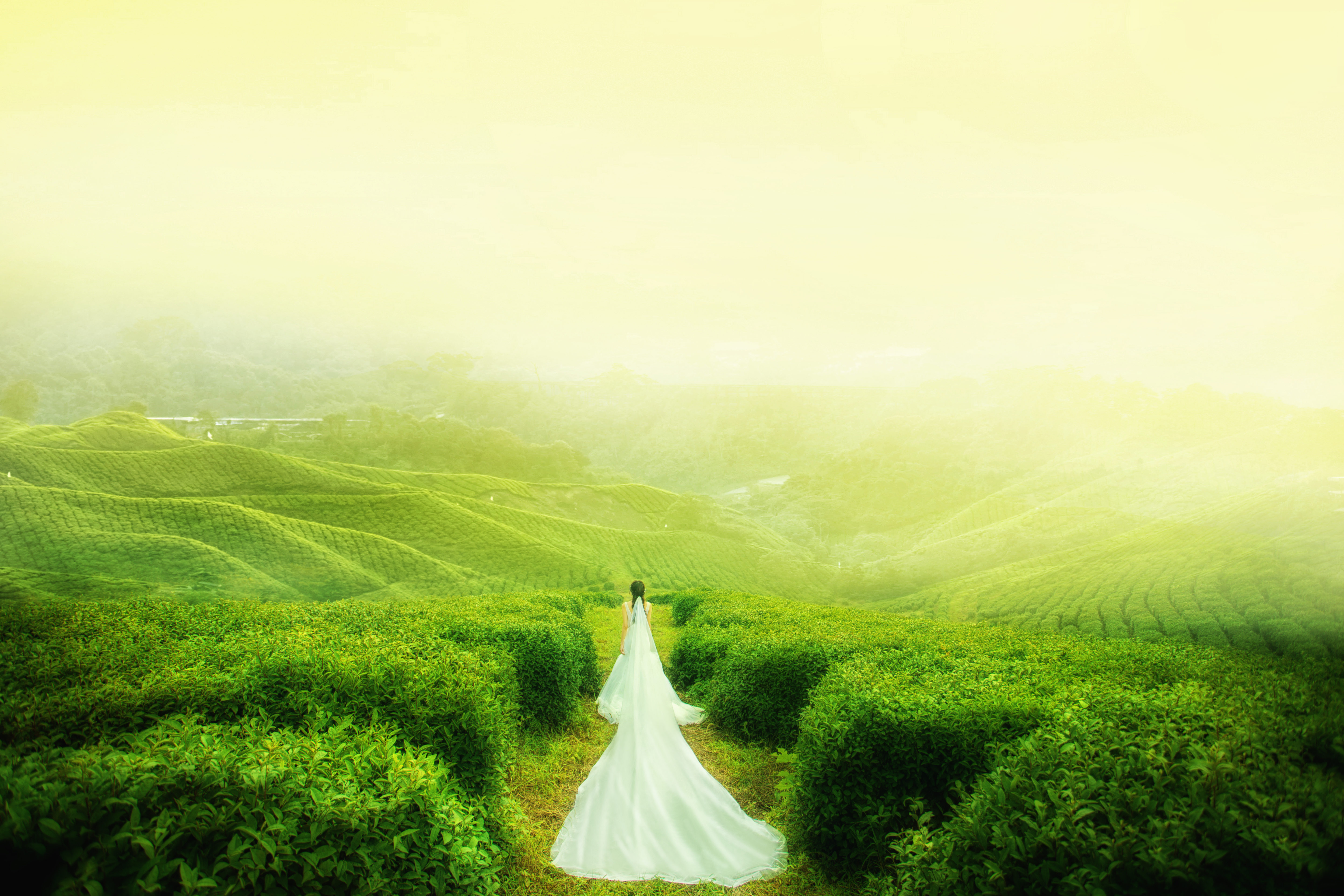 【人气推荐】唯美秘境婚纱照婚纱摄影