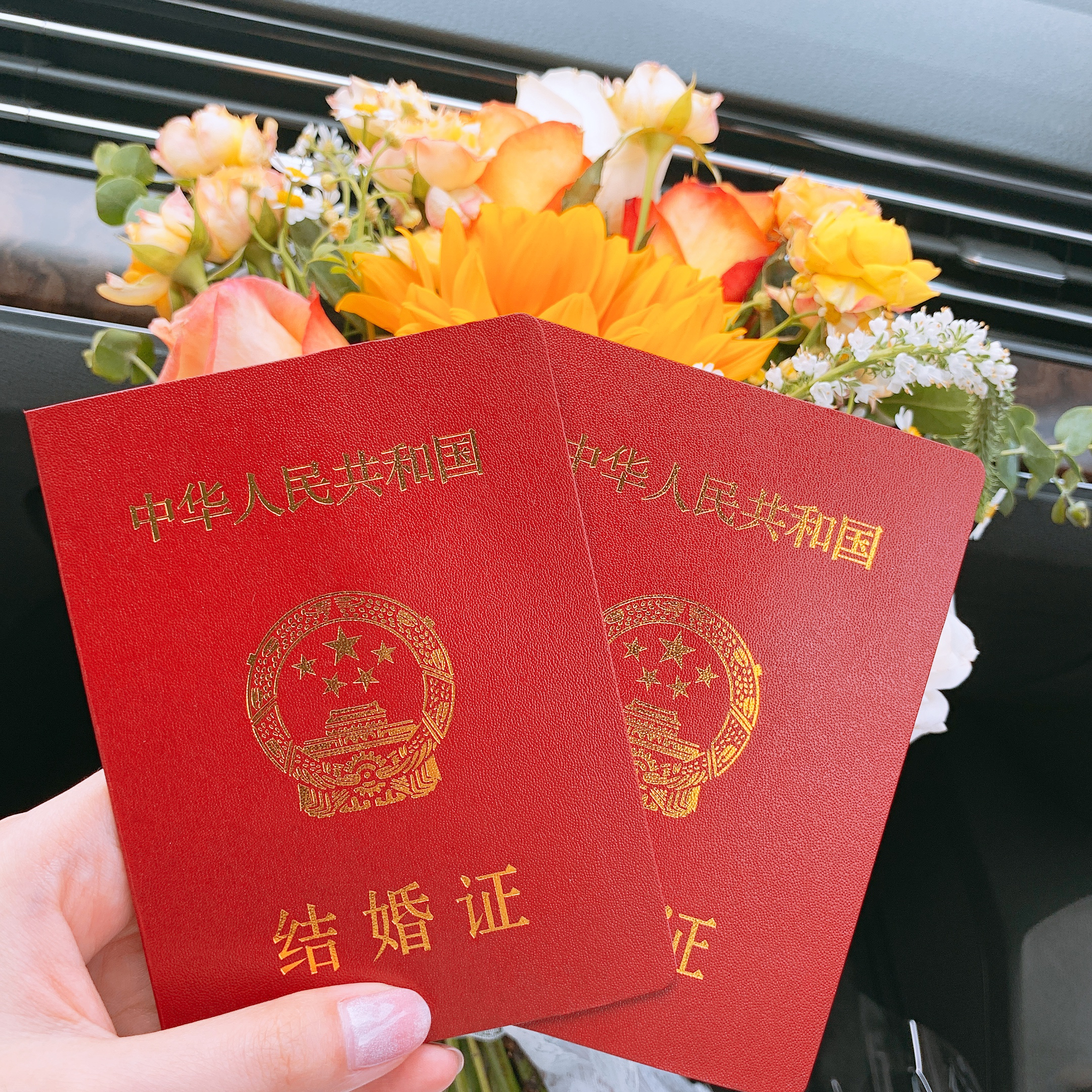朝暮与年岁并往，与你一起共至光年