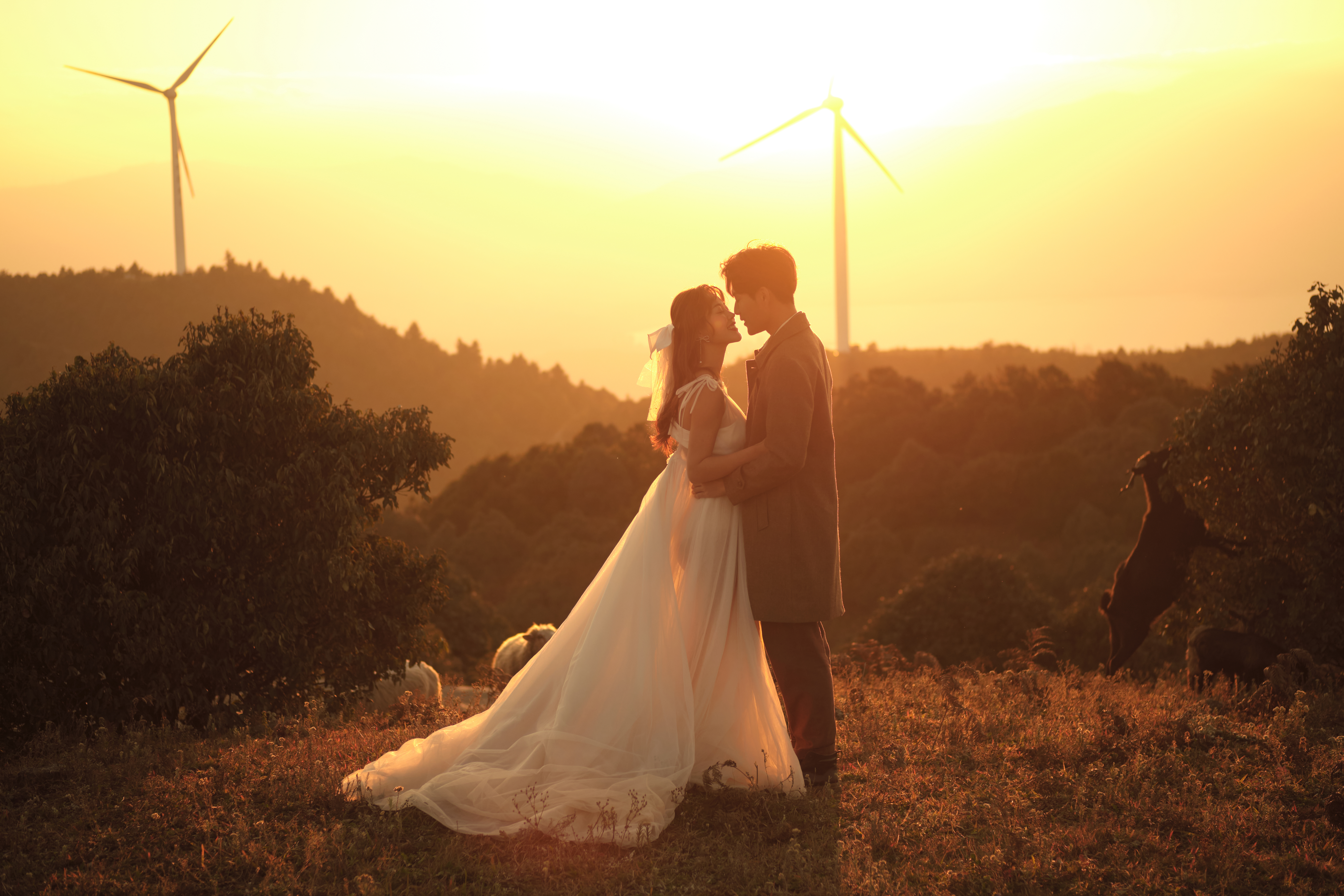 【四季婚照】每季拍一套，十年内可使用