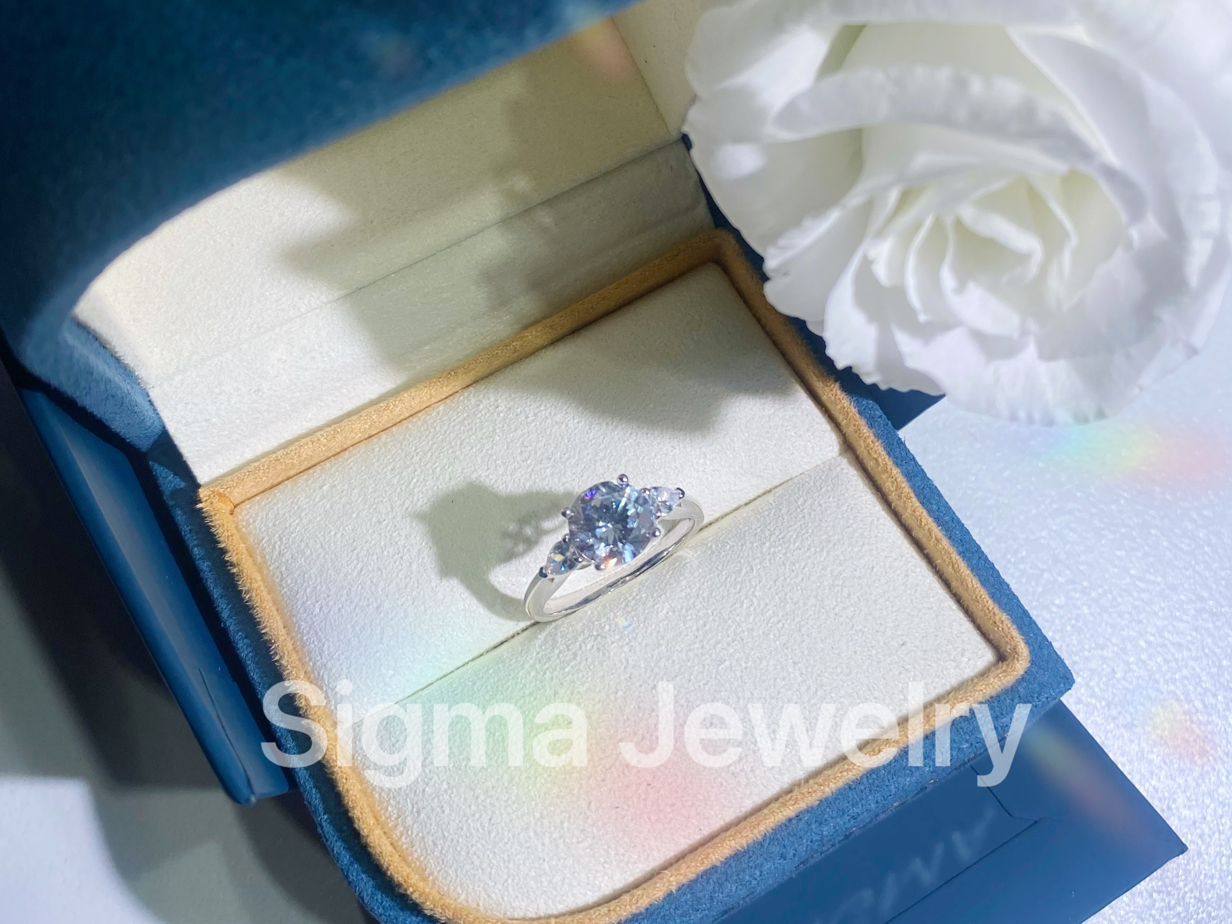 SIGMA西格玛【Only one】愿得一心人