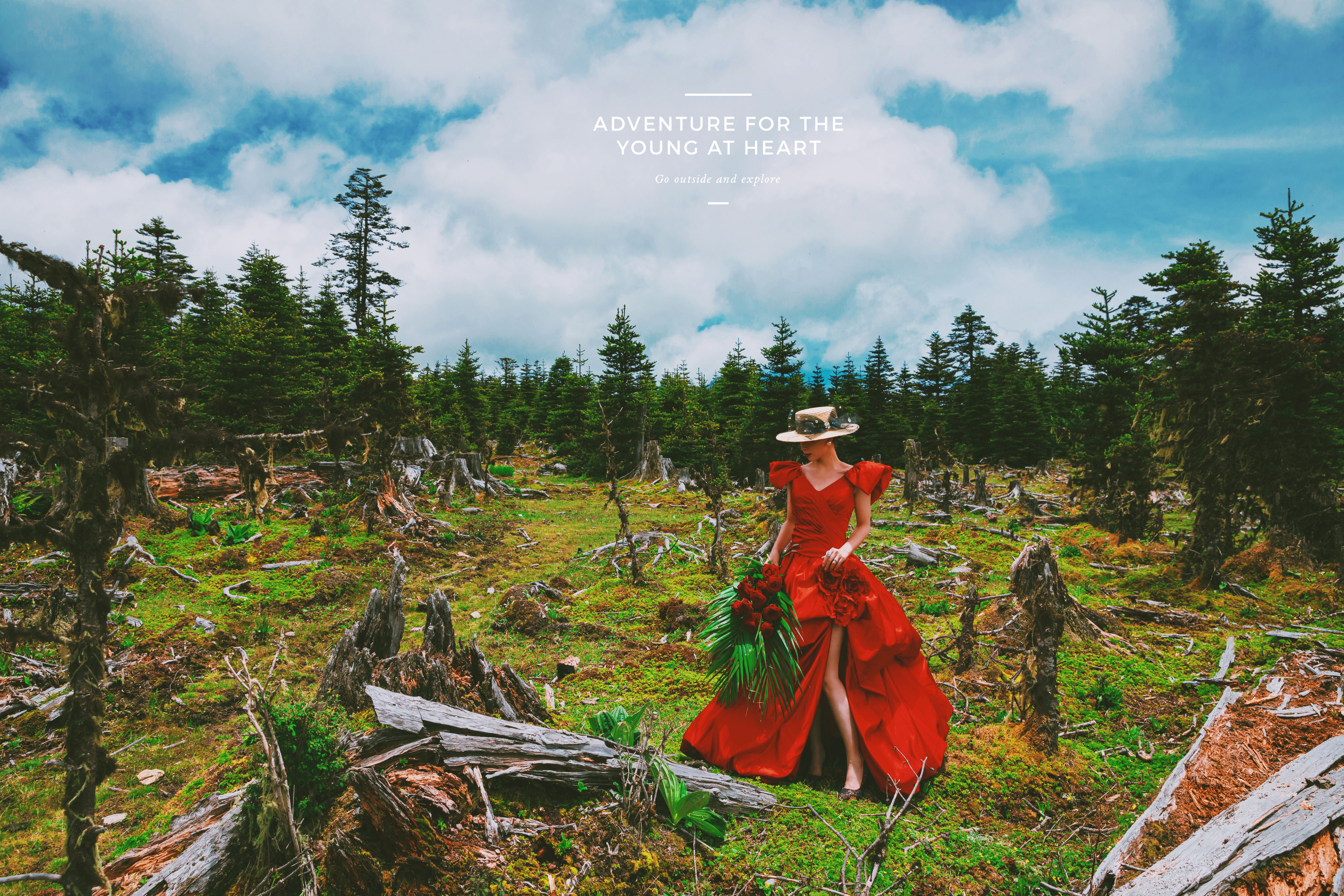 【香格里拉】网红定制 全程总监一对一服务